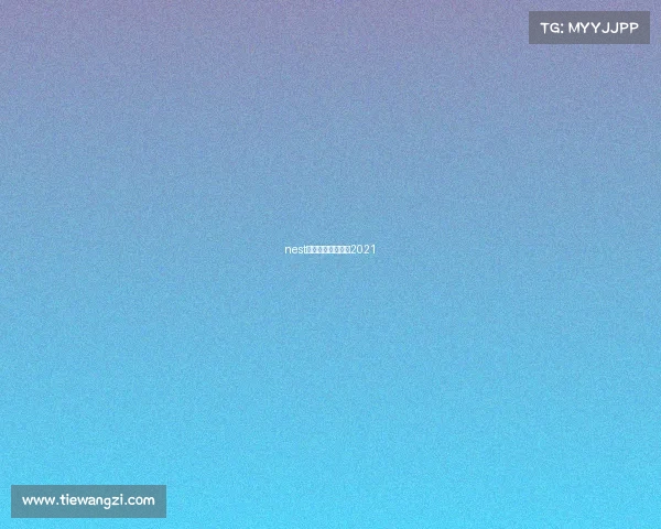 nest全国电子竞技大赛2021