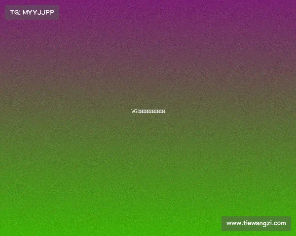 VG电竞俱乐部总部设于上海