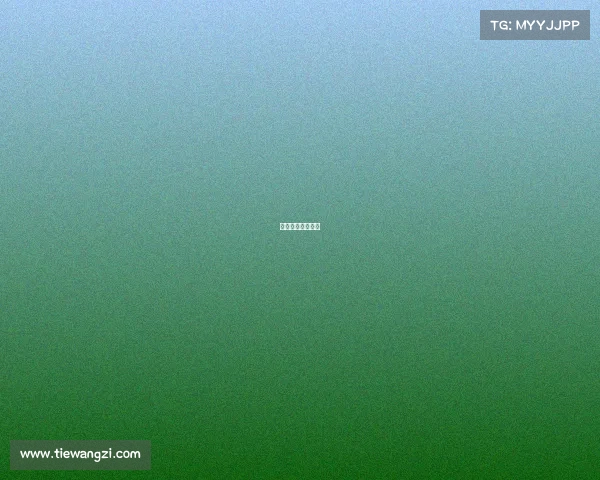 国米官方电子队服